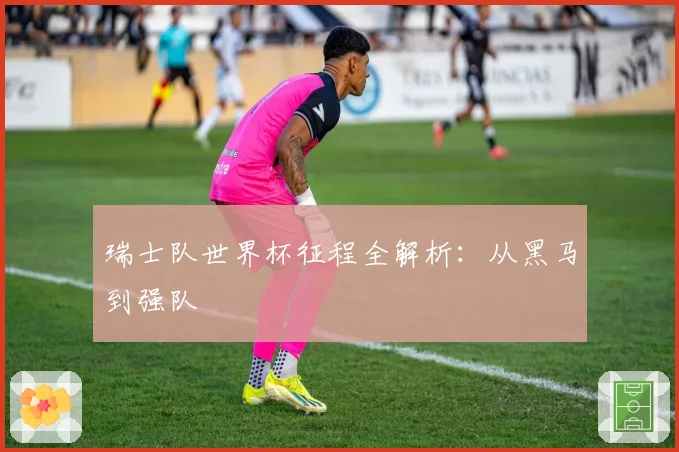 瑞士队世界杯征程全解析：从黑马到强队
