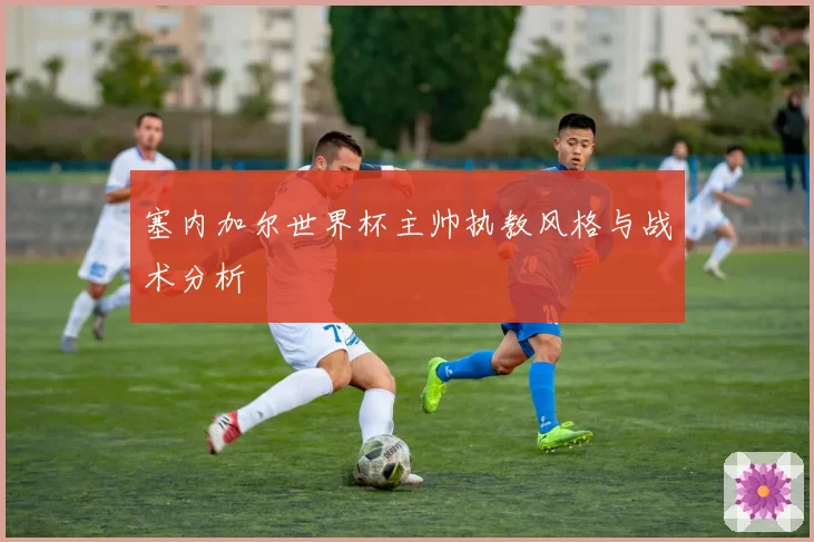塞内加尔世界杯主帅执教风格与战术分析