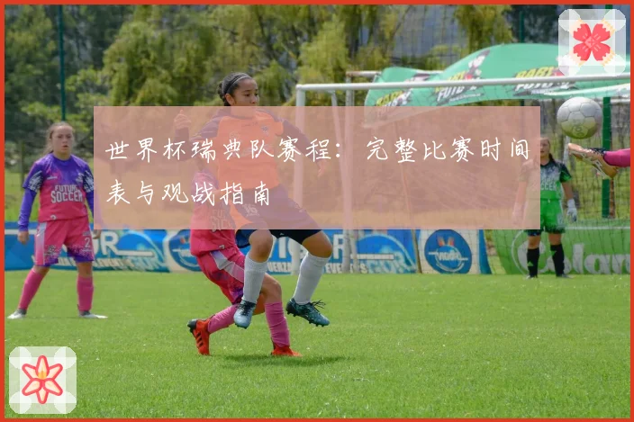 世界杯瑞典队赛程：完整比赛时间表与观战指南